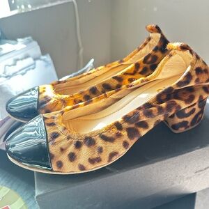 Leopard Print Women's Shoes new in box Sz 8 calf  yosi samra